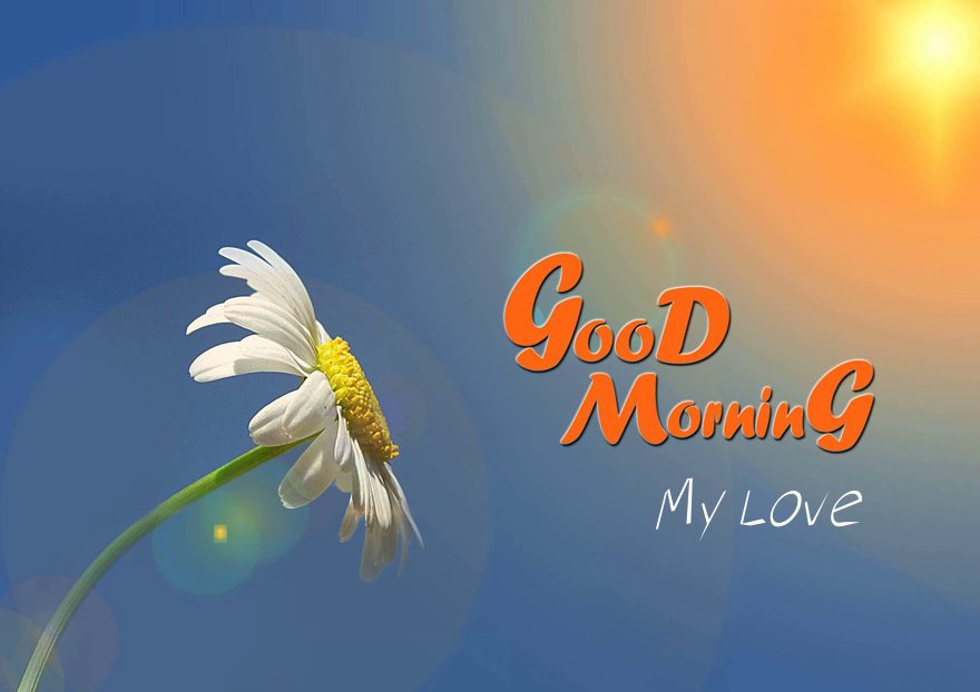Good Morning Love Messages Wishes and Quotes
